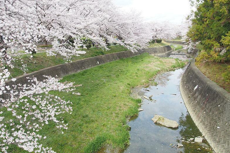 島本町を流れる水無瀬川。浅瀬では水遊びをする親子連れも（写真／PIXTA）