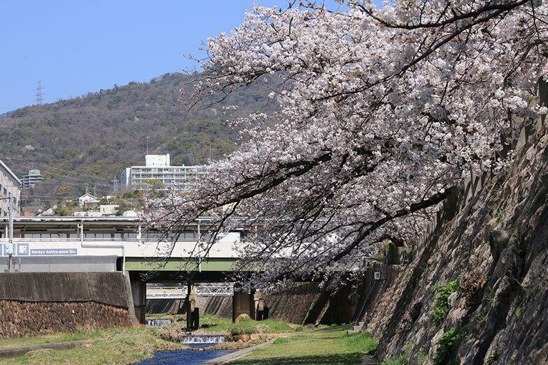 芦屋川駅から六甲山側を望む風景（写真／PIXTA）