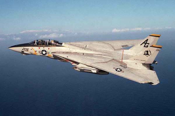 アメリカ海軍のF-14A「トムキャット」（画像：アメリカ海軍）。