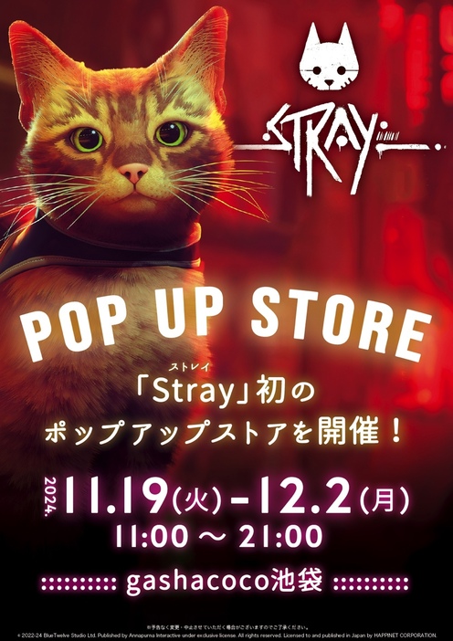 『Stray』ポップアップストア