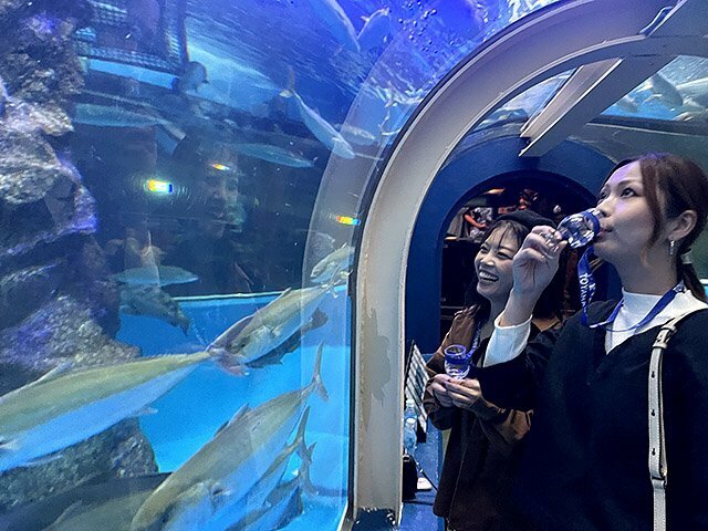 富山湾大水槽を眺めながらウイスキーを楽しむ来場者＝魚津水族館