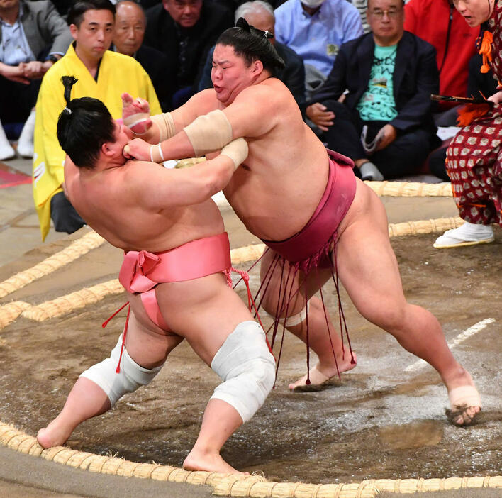 大栄翔（右）は宇良を突き倒しで破る（撮影・岩下翔太）