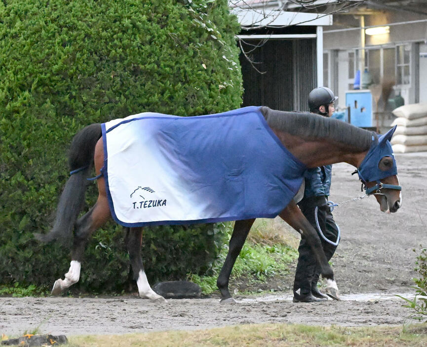 21日、厩舎周りを運動するソールオリエンス