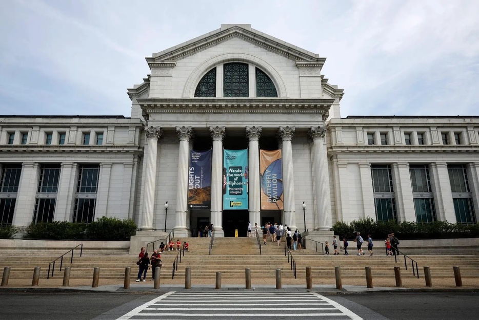 ワシントンD.C.のスミソニアン国立自然史博物館。