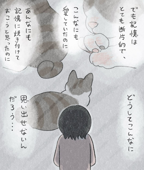 大切にしていた愛猫との思い出について描いたマンガのカット（In.S_そーいさん提供）