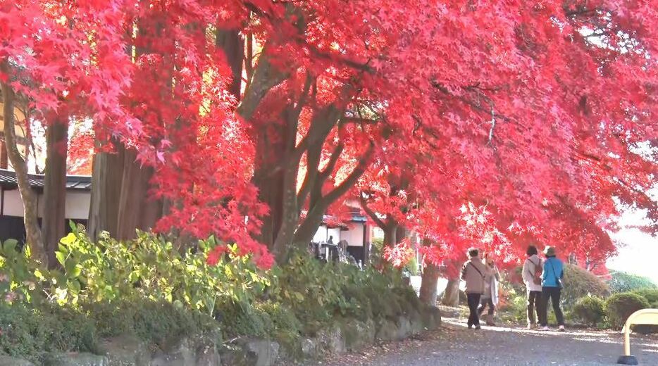 長円寺　茅野市　14日