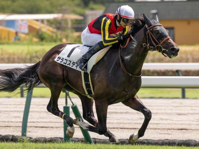 前走の未勝利を圧勝したサラコスティ(今年8月撮影、ユーザー提供：ごっちさん)