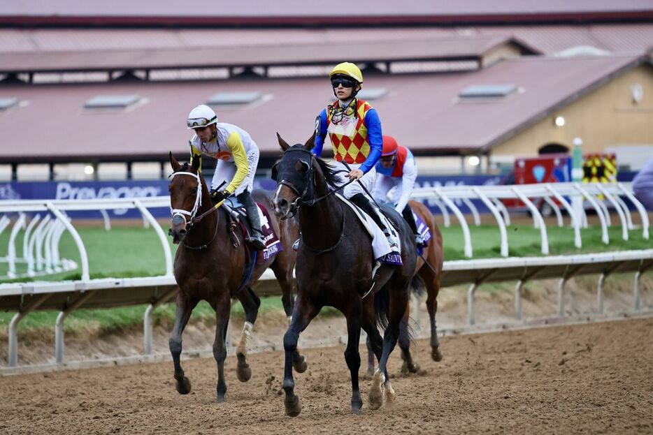 BCダートマイル・テーオーサンドニと坂井瑠星騎手 (C)Hiroki Homma