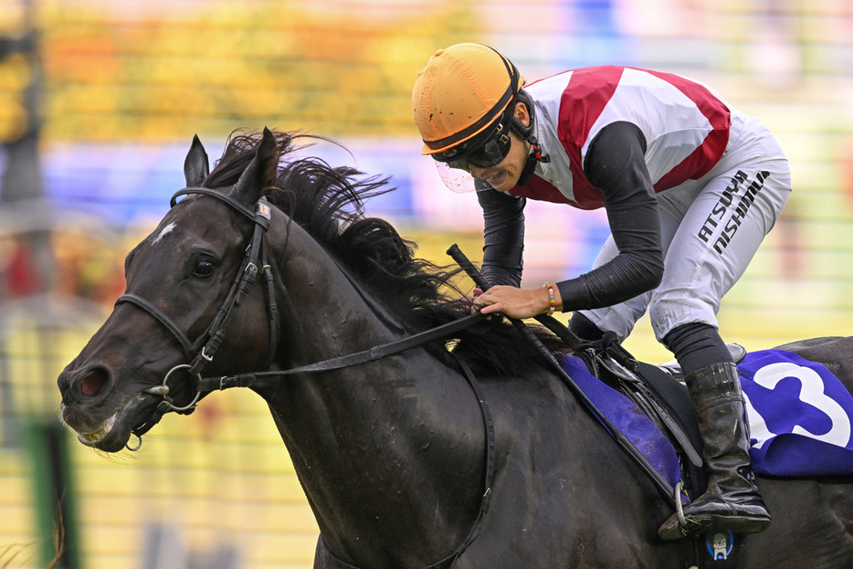 ルガルは西村淳也とのコンビで香港スプリントへ