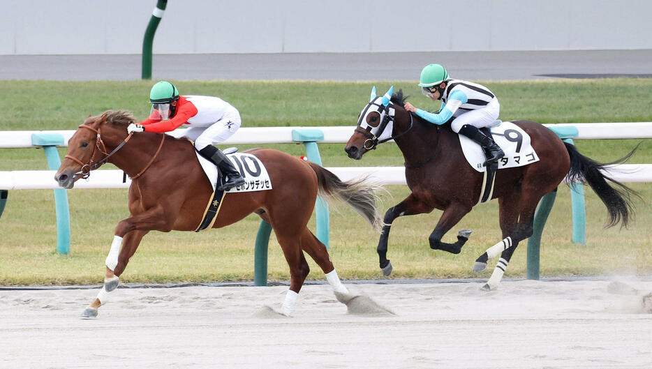 京都4R、タマゴ（右）を差し切って新馬戦を制したセボンサデッセ（撮影・白石智彦）