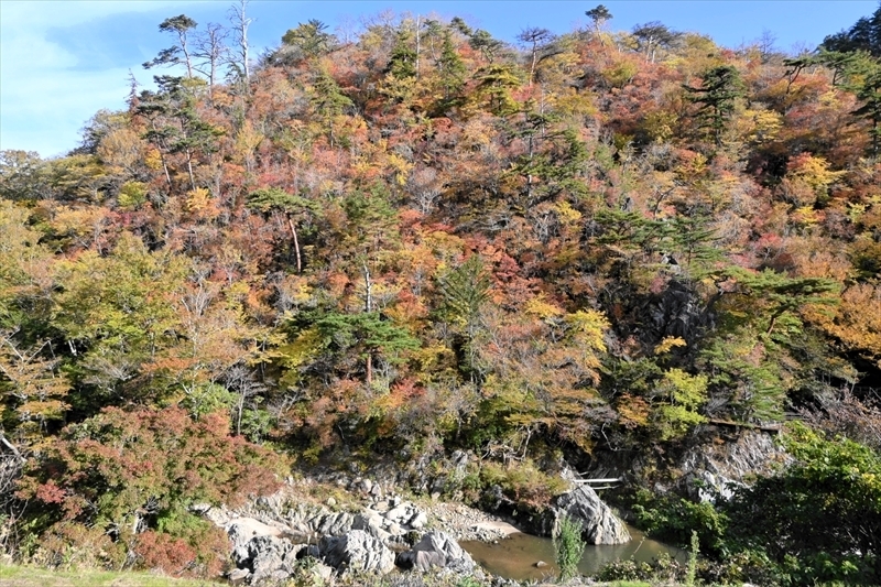 紅葉が見ごろを迎えた夏井川渓谷＝１２日午後