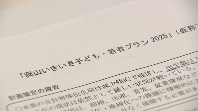 岡山県子ども・子育て会議　総合計画の素案示す