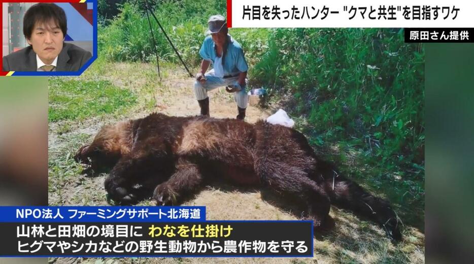 クマを捕らえる原田さん