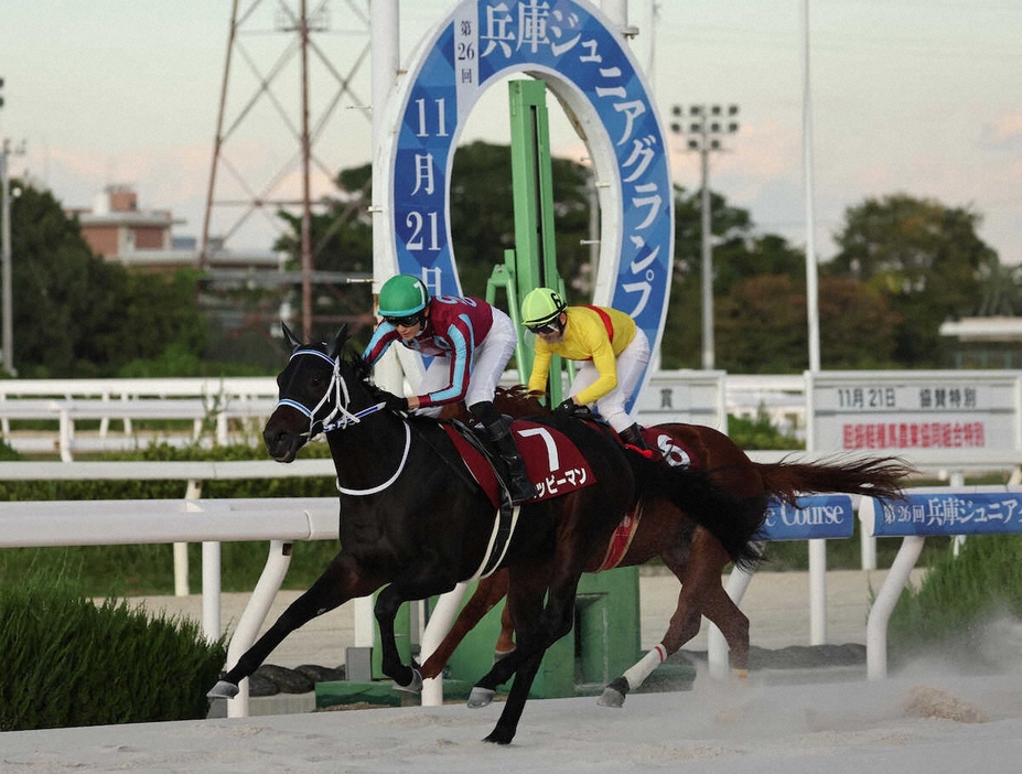 兵庫ジュニアグランプリを快勝したハッピーマン（手前）