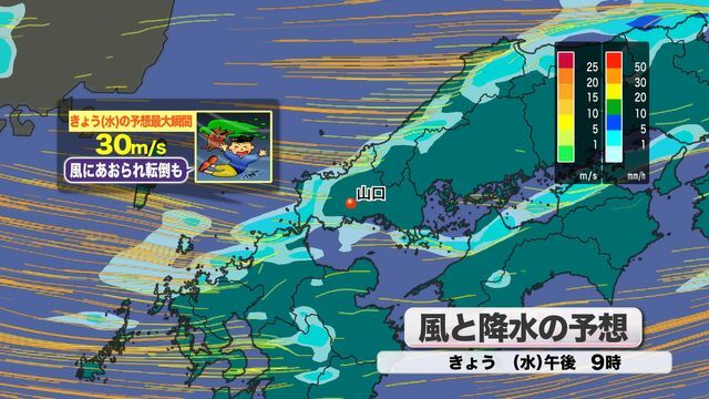 風と降水の予想