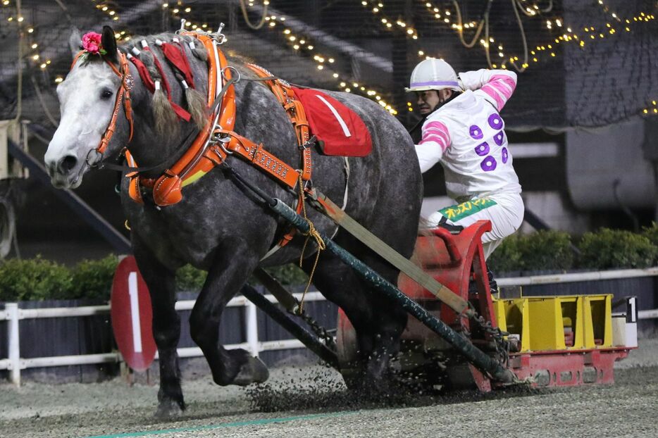 クインカップ・ミュウと鈴木恵介騎手 (C)ばんえい十勝