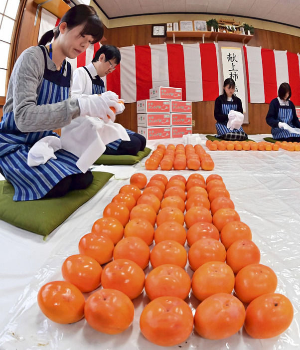 献上される会津身不知柿の箱詰め作業＝19日午前、会津若松市