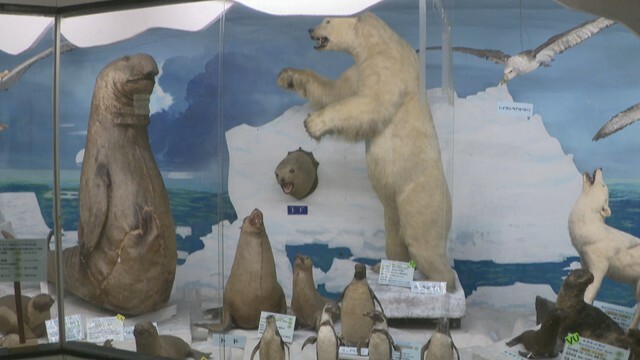 つやま自然のふしぎ館　津山市山下