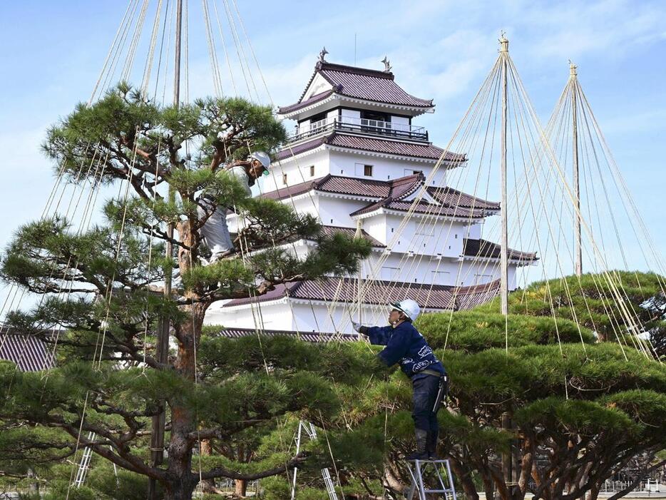 本格的な冬を前に始まった鶴ケ城公園の枝つり作業＝26日、会津若松市