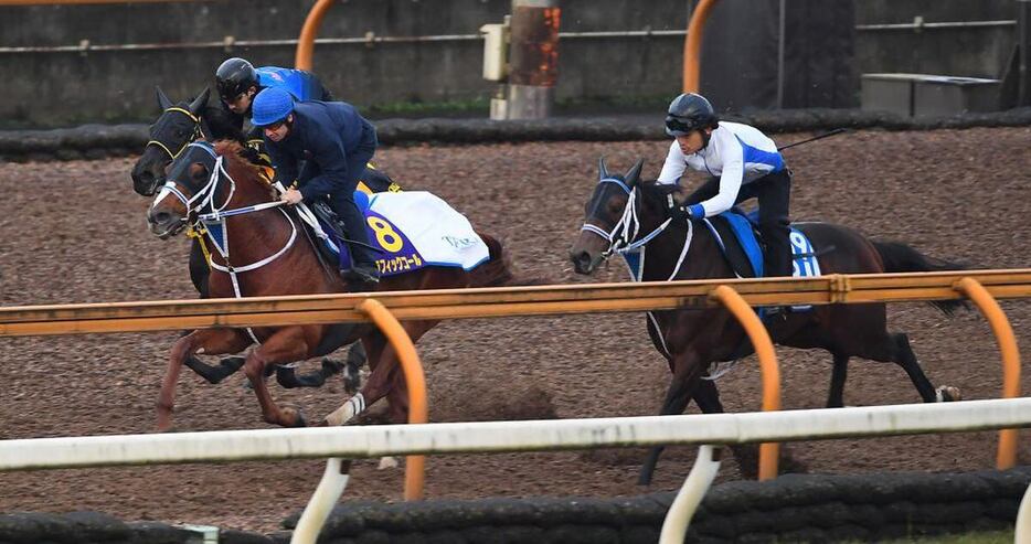 セラフィックコール＝栗東トレセン（撮影・岩川晋也）