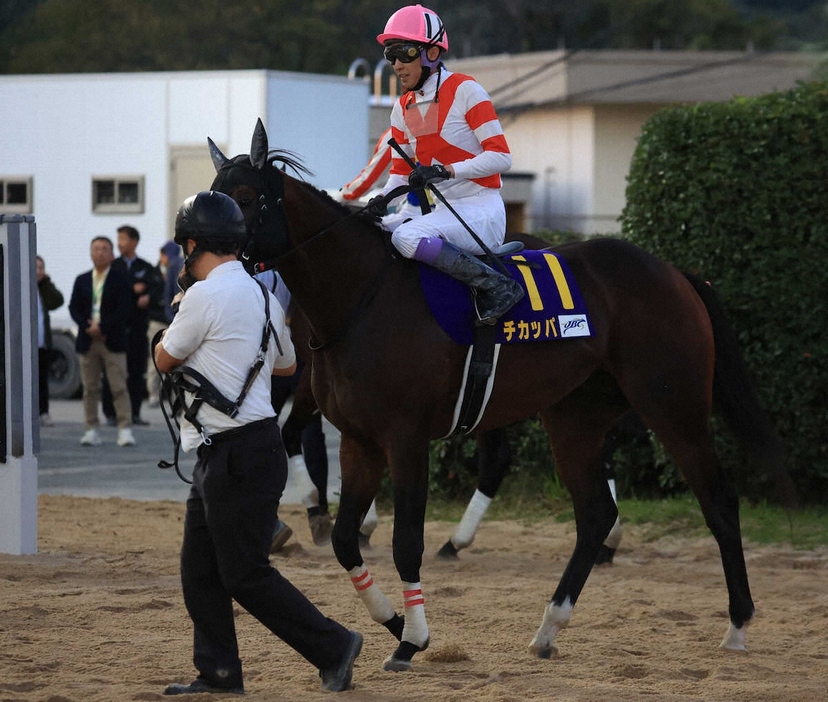 ＜JBCスプリント＞2着だったチカッパと武豊（撮影・中辻　颯太）