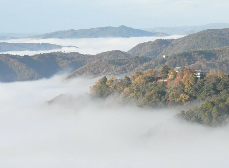 雲海に浮かぶ備中松山城＝21日午前7時42分