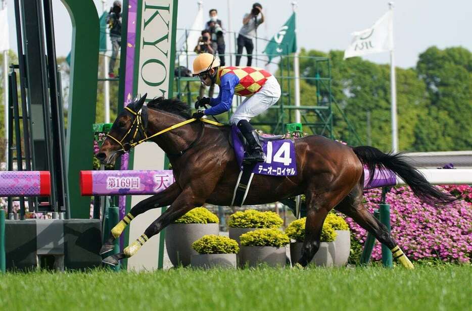 天皇賞・春を制したテーオーロイヤル＝京都競馬場（岩川晋也撮影）