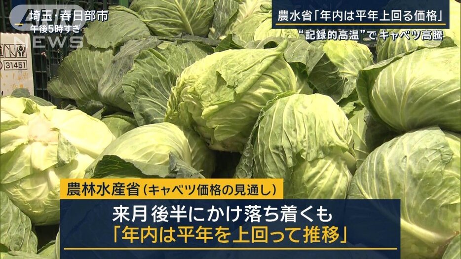 カット野菜　安値“抜け出せず”原価高騰も『100円の壁』　記録的高温でキャベツ高騰