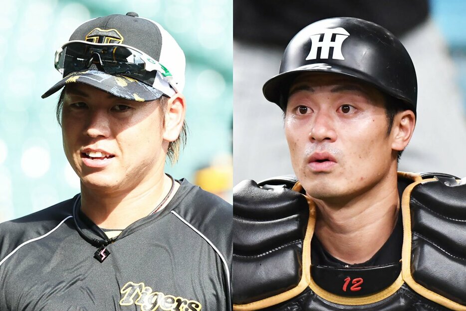 阪神の梅野隆太郎(左)と坂本誠志郎