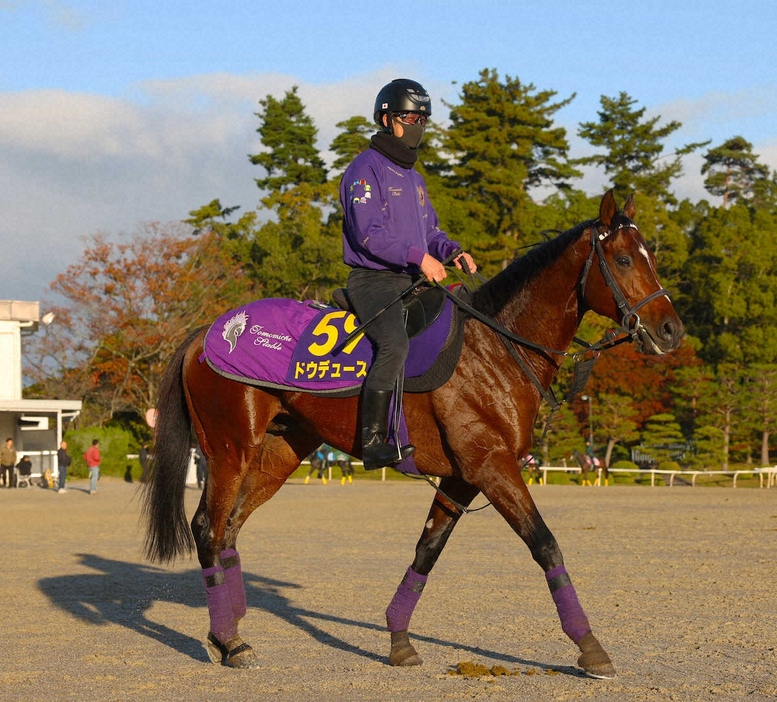 引き揚げるドウデュース（撮影・亀井直樹）　