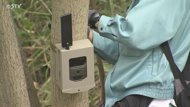 クマ調査用センサーカメラのイメージ