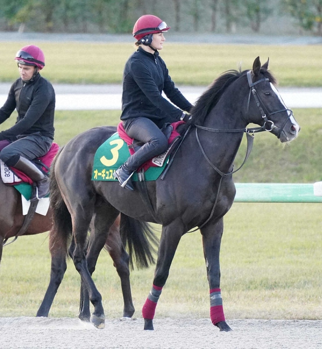 ダートコースで調整するオーギュストロダン（撮影・村上大輔）