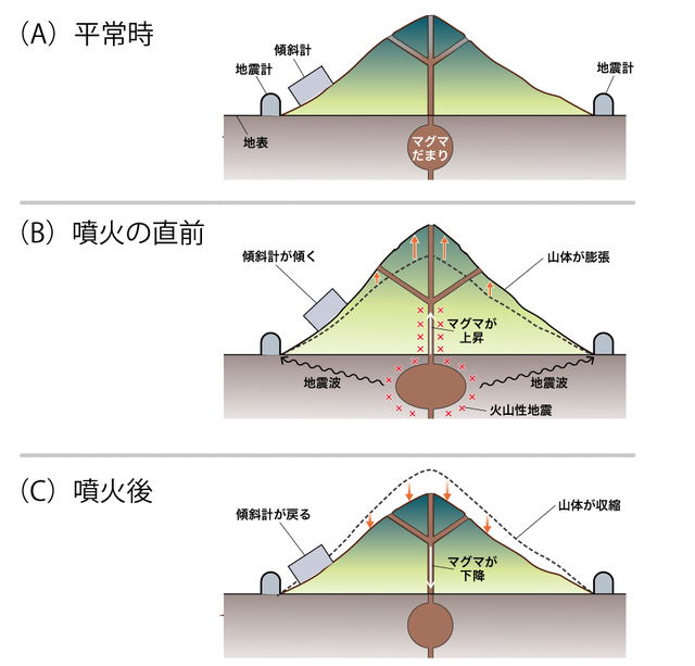 噴火前後のマグマだまりと火山体の動き。地震計でマグマの動きを測り、傾斜計で山体の膨張や収縮を測る