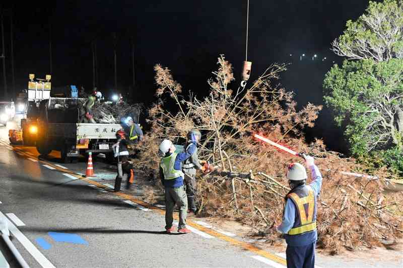 国道266号沿いの枯れた松を伐採し、トラックに積む作業員ら＝11日、上天草市