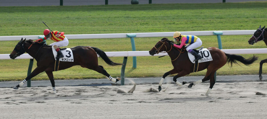 京都4R、新馬戦を制したキアニーナ。右は2着のフクノフィアーノン（撮影・宮崎幸一）