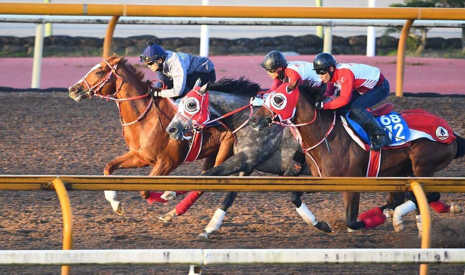 坂井瑠星騎手を背に調教を行ったシンエンペラー（左）＝栗東トレセン（撮影・岩川晋也）