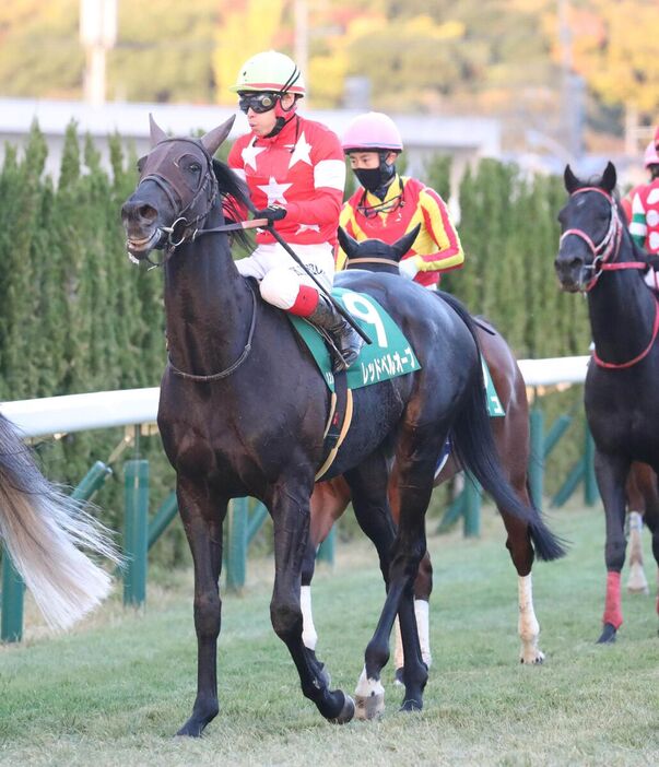 京阪杯がラストランとなったレッドベルオーブ