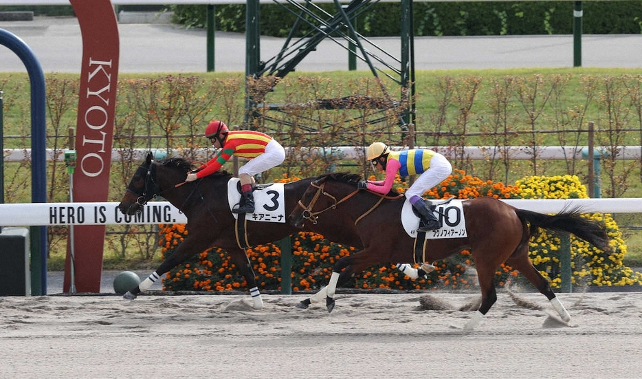 ＜京都4R＞新馬戦を快勝するキアニーナ（左）（撮影・平嶋　理子）