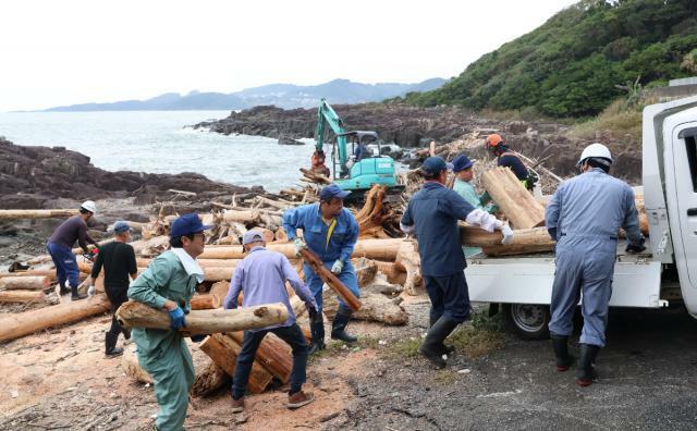 日向市平岩の磯場にたまった流木を撤去する関係者ら