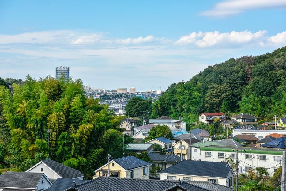 ※写真はイメージです - 写真＝iStock.com／Orthosie