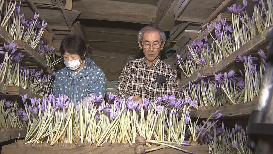 竹田市