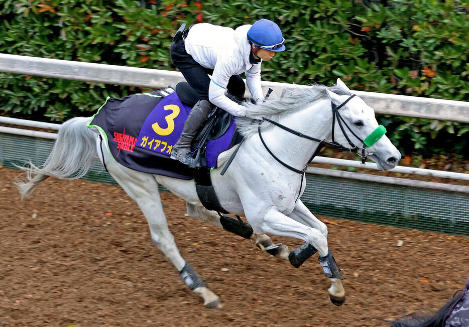 ガイアフォースは馬なりでも抜群の推進力