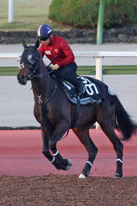 無傷3連勝を狙うエリキング