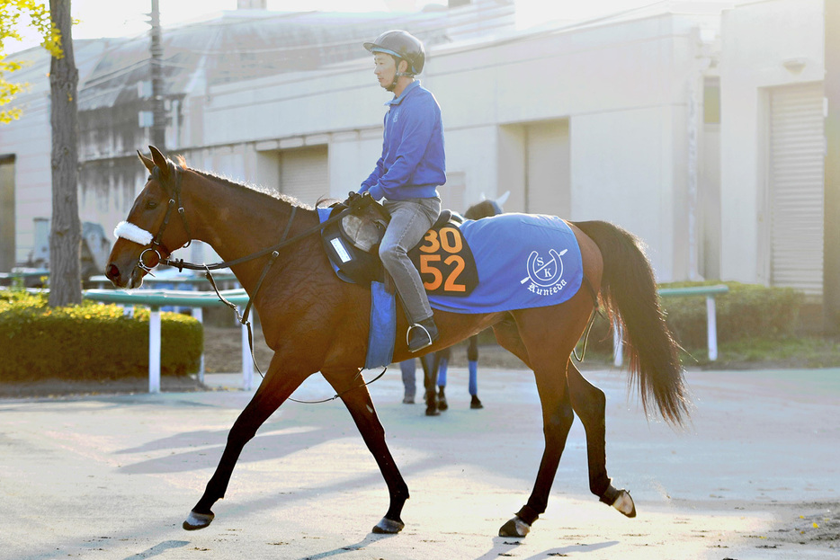 初勝利を目指すアーモンドアイの初子アロンズロッド