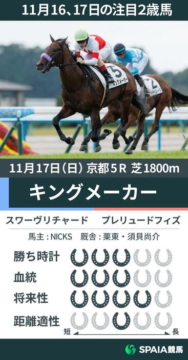 2024年11月17日京都5Rを勝利したキングメーカーの評価