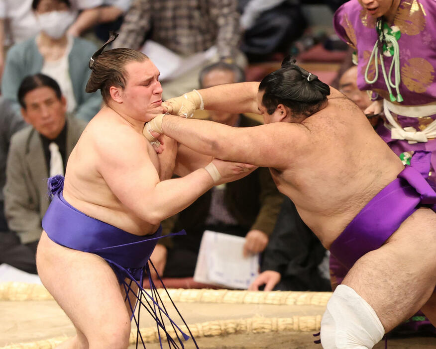 大相撲九州場所　6日目　寄り切りで生田目を破った安青錦（左）（撮影・梅根麻紀）