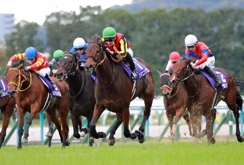 　早め先頭から押し切るスタニングローズ（中央）＝撮影・石湯恒介