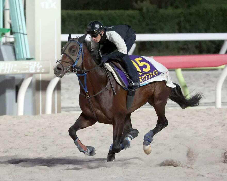 ミックファイア＝大井競馬場（撮影・塩浦孝明）