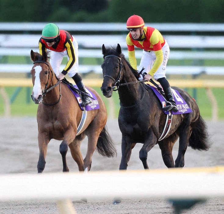 ＜東京12R・ジャパンC＞引き揚げるチェルヴィニア（左）とジャスティンパレス　（撮影・村上　大輔）