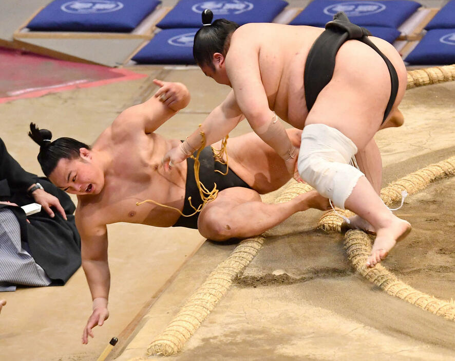 大相撲九州場所13日目　押し出しで藤闘志（右）に敗れた炎鵬（撮影・岩下翔太）